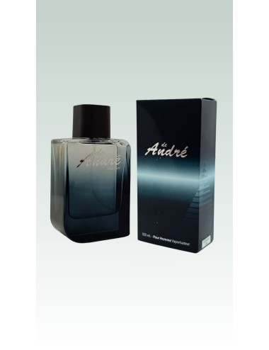 Dupe de Polo Black - Ralph Lauren